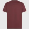 CAMISETA CON CUELLO EN V KAMEO