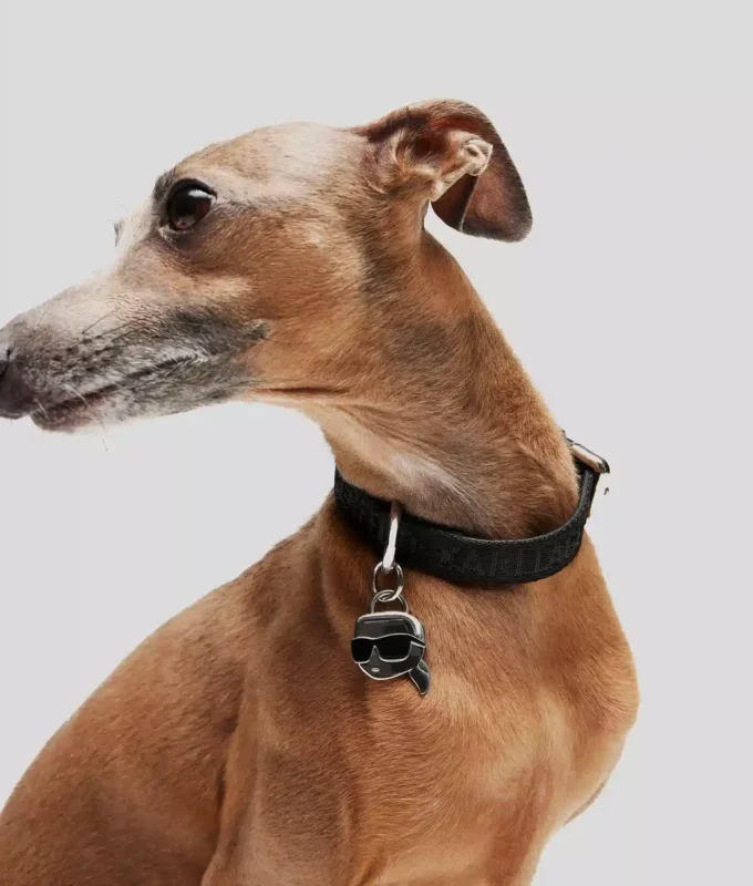 K/PET COLLAR K/PET COLLAR